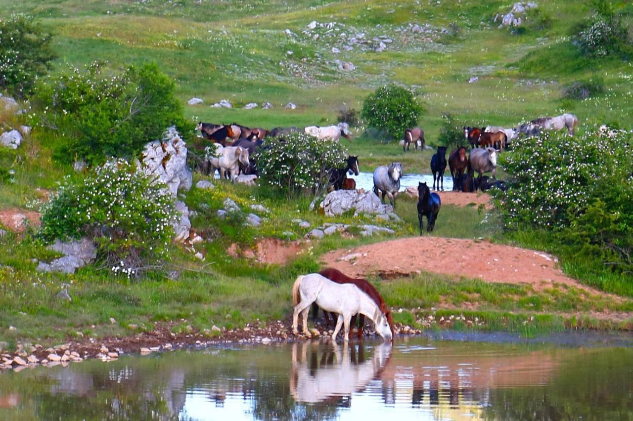 Apartman Park Livno Bagian luar foto