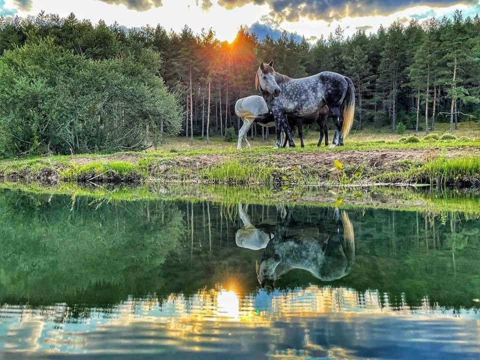 Apartman Park Livno Bagian luar foto